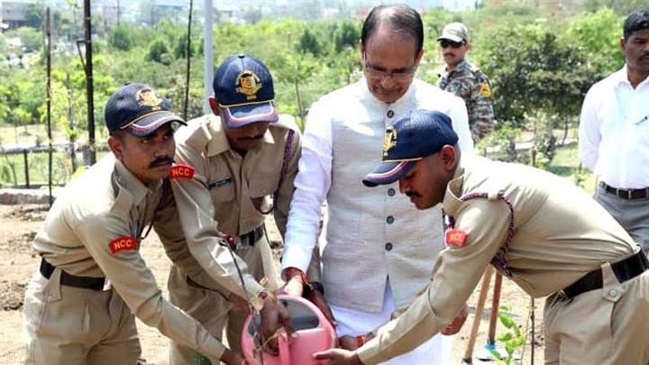 मुख्यमंत्री श्री चौहान ने आँवला, गुलमोहर और पीपल के पौधे रोपे